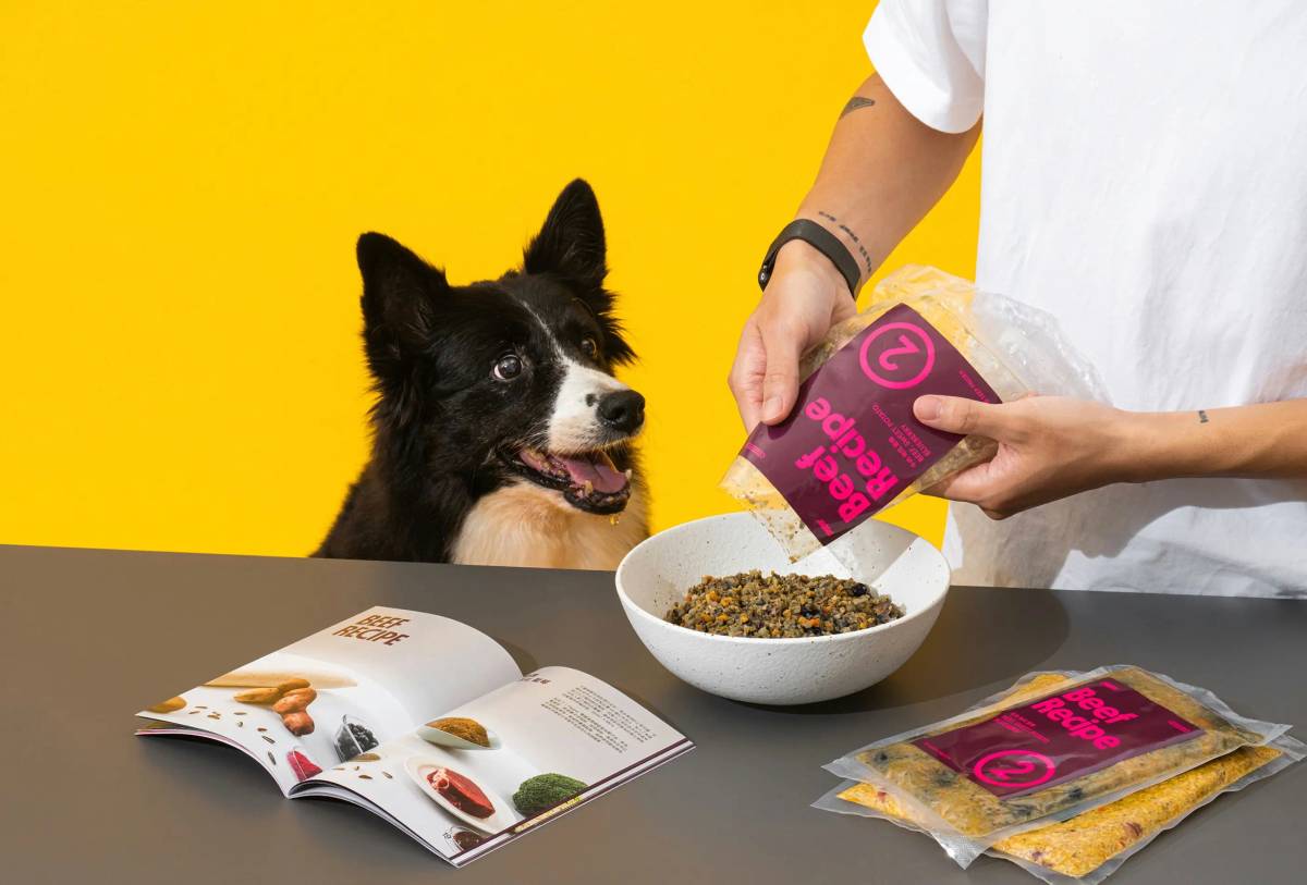 Pepper: Brand visual​​​​‌ ‍ ​‍​‍‌‍ ‌ ​‍‌‍‍‌‌‍‌ ‌‍‍‌‌‍ ‍​‍​‍​ ‍‍​‍​‍‌ ​ ‌‍​‌‌‍ ‍‌‍‍‌‌ ‌​‌ ‍‌​‍ ‍‌‍‍‌‌‍ ​‍​‍​‍ ​​‍​‍‌‍‍​‌ ​‍‌‍‌‌‌‍‌‍​‍​‍​ ‍‍​‍​‍‌‍‍​‌ ‌​‌ ‌​‌ ​​‌ ​ ​ ‍‍​‍ ​‍ ‌‍‌​‌‍‌‌‌ ​ ‌‍‍‌‌‍‌ ‌‍ ‍‌‍‌‌‌ ‌‍‌‍‌‌‌ ​‍‌ ‍‌‌ ‌ ‌‍‍​‌‍‌‌‌ ​‍‌‍‌‌​‍ ‍‌ ​ ‌‍​‌‌‍ ‍‌‍‍‌‌ ‌​‌ ‍‌​‍ ‍‌ ​ ‌ ‌​‌ ‌‌‌‍‌​‌‍‍‌‌‍ ​‍ ‌‍‍‌‌‍ ‍‌ ‌​‌‍‌‌‌‍ ‍‌ ‌​​‍ ‌‍‌‌‌‍‌​‌‍‍‌‌ ‌​​‍ ‌‍ ‌‌‍ ‌‍‌​‌‍‌‌​ ‌‌ ​​‌ ​‍‌‍‌‌‌ ​ ‌‍‌‌‌‍ ‍‌ ‌​‌‍​‌‌ ‌​‌‍‍‌‌‍ ‌‍ ‍​ ‍ ‌‍‍‌‌‍‌​​ ‌‌‍‌​‌‍‌‌‌ ​ ‌‍‍‌‌‍‌ ‌‍ ‍‌‌‌ ‌‍ ‌ ​‍‌‍‍ ​‍ ‌​ ​‌​ ​ ​ ​ ​ ​​​ ​​​ ​ ​ ​ ​ ‌‌​ ​‌​ ‍ ‌ ‌​‌ ‍‌‌ ​​‌‍‌‌​ ‌‌‍‌​‌‍‌‌‌ ​ ‌‍‍‌‌‍‌ ‌‍ ‍‌‌‌ ‌‍ ‌ ​‍‌‍‍ ​ ‍ ‌ ​​‌‍​‌‌ ‌​‌‍‍​​ ‌‌‍‍​‌‍‌‌‌‍​‌‌‍‌​‌‍‌‌‌ ​‍​‍‌‌​ ‌‌‌​​‍‌‌ ‌‍‍ ‌‍‌‌‌ ‍‌​‍‌‌​ ​ ‌​‌​​‍‌‌​ ​ ‌​‌​​‍‌‌​ ​‍​ ​‍‌‍​‌‌‍‌‍​ ​‍‌ ‌‍‌‍‍‍‌‍‌​‌ ​‍‌ ​‍​ ‌ ‌ ‌​​‍‌‌​ ​‍​ ​‍​‍‌‌​ ‌‌‌​‌​​‍ ‍‌‍​ ‌‍​‌‌ ​​‌ ‌​‌‍‍‌‌‍ ‌‍ ‍​ ‌‍​‍‌‍​‌‌ ​ ‌‍‌‌‌‌‌‌‌ ​‍‌‍ ​​ ‌‌‍‍​‌ ‌​‌ ‌​‌ ​​‌ ​ ​‍‌‌​ ​ ‌​​‌​‍‌‌​ ​‍‌​‌‍​‍‌‌​ ​‍‌​‌‍‌‍‌​‌‍‌‌‌ ​ ‌‍‍‌‌‍‌ ‌‍ ‍‌‍‌‌‌ ‌‍‌‍‌‌‌ ​‍‌ ‍‌‌ ‌ ‌‍‍​‌‍‌‌‌ ​‍‌‍‌‌​‍ ‍‌ ​ ‌‍​‌‌‍ ‍‌‍‍‌‌ ‌​‌ ‍‌​‍ ‍‌ ​ ‌ ‌​‌ ‌‌‌‍‌​‌‍‍‌‌‍ ​‍‌‍‌‍‍‌‌‍‌​​ ‌‌‍‌​‌‍‌‌‌ ​ ‌‍‍‌‌‍‌ ‌‍ ‍‌‌‌ ‌‍ ‌ ​‍‌‍‍ ​‍ ‌​ ​‌​ ​ ​ ​ ​ ​​​ ​​​ ​ ​ ​ ​ ‌‌​ ​‌​‍‌‍‌ ‌​‌ ‍‌‌ ​​‌‍‌‌​ ‌‌‍‌​‌‍‌‌‌ ​ ‌‍‍‌‌‍‌ ‌‍ ‍‌‌‌ ‌‍ ‌ ​‍‌‍‍ ​‍‌‍‌ ​​‌‍​‌‌ ‌​‌‍‍​​ ‌‌‍‍​‌‍‌‌‌‍​‌‌‍‌​‌‍‌‌‌ ​‍​‍‌‌​ ‌‌‌​​‍‌‌ ‌‍‍ ‌‍‌‌‌ ‍‌​‍‌‌​ ​ ‌​‌​​‍‌‌​ ​ ‌​‌​​‍‌‌​ ​‍​ ​‍‌‍​‌‌‍‌‍​ ​‍‌ ‌‍‌‍‍‍‌‍‌​‌ ​‍‌ ​‍​ ‌ ‌ ‌​​‍‌‌​ ​‍​ ​‍​‍‌‌​ ‌‌‌​‌​​‍ ‍‌‍​ ‌‍​‌‌ ​​‌ ‌​‌‍‍‌‌‍ ‌‍ ‍​‍‌‍‌ ​​‌‍‌‌‌ ​‍‌ ​ ‌ ​​‌‍‌‌‌‍​ ‌ ‌​‌‍‍‌‌ ‌‍‌‍‌‌​ ‌‌ ​​‌ ‌‌‌‍​‍‌‍ ​‌‍‍‌‌ ​ ‌‍‍​‌‍‌‌‌‍‌​​‍​‍‌ ‌
