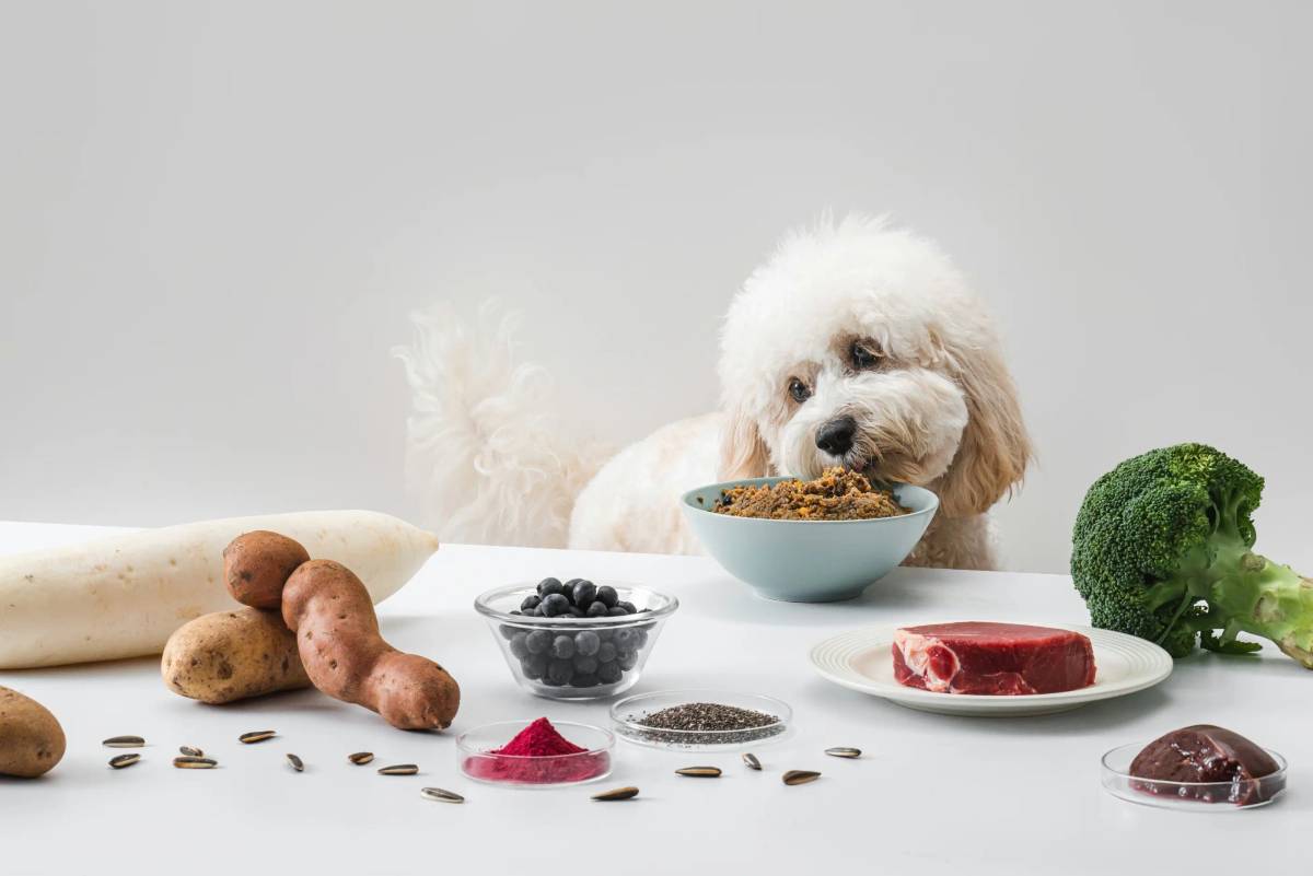 Pepper: Photography​​​​‌﻿‍﻿​‍​‍‌‍﻿﻿‌﻿​‍‌‍‍‌‌‍‌﻿‌‍‍‌‌‍﻿‍​‍​‍​﻿‍‍​‍​‍‌﻿​﻿‌‍​‌‌‍﻿‍‌‍‍‌‌﻿‌​‌﻿‍‌​‍﻿‍‌‍‍‌‌‍﻿﻿​‍​‍​‍﻿​​‍​‍‌‍‍​‌﻿​‍‌‍‌‌‌‍‌‍​‍​‍​﻿‍‍​‍​‍‌‍‍​‌﻿‌​‌﻿‌​‌﻿​​‌﻿​﻿​﻿‍‍​‍﻿﻿​‍﻿﻿‌‍‌​‌‍‌‌‌﻿​﻿‌‍‍‌‌‍‌﻿‌‍﻿‍‌‍‌‌‌﻿‌‍‌‍‌‌‌﻿​‍‌﻿‍‌‌﻿‌﻿‌‍‍​‌‍‌‌‌﻿​‍‌‍‌‌​‍﻿‍‌﻿​﻿‌‍​‌‌‍﻿‍‌‍‍‌‌﻿‌​‌﻿‍‌​‍﻿‍‌﻿​﻿‌﻿‌​‌﻿‌‌‌‍‌​‌‍‍‌‌‍﻿﻿​‍﻿﻿‌‍‍‌‌‍﻿‍‌﻿‌​‌‍‌‌‌‍﻿‍‌﻿‌​​‍﻿﻿‌‍‌‌‌‍‌​‌‍‍‌‌﻿‌​​‍﻿﻿‌‍﻿‌‌‍﻿﻿‌‍‌​‌‍‌‌​﻿﻿‌‌﻿​​‌﻿​‍‌‍‌‌‌﻿​﻿‌‍‌‌‌‍﻿‍‌﻿‌​‌‍​‌‌﻿‌​‌‍‍‌‌‍﻿﻿‌‍﻿‍​﻿‍﻿‌‍‍‌‌‍‌​​﻿﻿‌‌‍‌​‌‍‌‌‌﻿​﻿‌‍‍‌‌‍‌﻿‌‍﻿‍‌‌‌﻿‌‍﻿﻿‌﻿​‍‌‍‍﻿​‍﻿‌​﻿​‌​﻿​﻿​﻿​﻿​﻿​​​﻿​​​﻿​﻿​﻿​﻿​﻿‌‌​﻿​‌​﻿‍﻿‌﻿‌​‌﻿‍‌‌﻿​​‌‍‌‌​﻿﻿‌‌‍‌​‌‍‌‌‌﻿​﻿‌‍‍‌‌‍‌﻿‌‍﻿‍‌‌‌﻿‌‍﻿﻿‌﻿​‍‌‍‍﻿​﻿‍﻿‌﻿​​‌‍​‌‌﻿‌​‌‍‍​​﻿﻿‌‌‍​﻿‌‍﻿﻿‌‍﻿‍‌﻿‌​‌‍‌‌‌‍﻿‍‌﻿‌​​‍‌‌​﻿‌‌‌​​‍‌‌﻿﻿‌‍‍﻿‌‍‌‌‌﻿‍‌​‍‌‌​﻿​﻿‌​‌​​‍‌‌​﻿​﻿‌​‌​​‍‌‌​﻿​‍​﻿​‍‌﻿​‌​﻿​​‌﻿‍​​﻿‍​​﻿‌﻿​﻿​‌‌‍‌​‌﻿​﻿‌﻿‌﻿‌﻿‌​​‍‌‌​﻿​‍​﻿​‍​‍‌‌​﻿‌‌‌​‌​​‍﻿‍‌‍﻿‌‌‍‌‌‌‍‌​‌‍‍‌‌‍​‌​‍‌‌​﻿‌‌‌​​‍‌‌﻿﻿‌‍‍﻿‌‍‌‌‌﻿‍‌​‍‌‌​﻿​﻿‌​‌​​‍‌‌​﻿​﻿‌​‌​​‍‌‌​﻿​‍​﻿​‍‌﻿​﻿‌﻿‌​​﻿‍​​﻿​‌​﻿‍‌‌﻿‍‌‌‍‌﻿‌﻿‌​​﻿‍‌‌‍‍​​‍‌‌​﻿​‍​﻿​‍​‍‌‌​﻿‌‌‌​‌​​‍﻿‍‌‍​﻿‌‍​‌‌﻿​​‌﻿‌​‌‍‍‌‌‍﻿﻿‌‍﻿‍​﻿﻿﻿‌‍​‍‌‍​‌‌﻿​﻿‌‍‌‌‌‌‌‌‌﻿​‍‌‍﻿​​﻿﻿‌‌‍‍​‌﻿‌​‌﻿‌​‌﻿​​‌﻿​﻿​‍‌‌​﻿​﻿‌​​‌​‍‌‌​﻿​‍‌​‌‍​‍‌‌​﻿​‍‌​‌‍‌‍‌​‌‍‌‌‌﻿​﻿‌‍‍‌‌‍‌﻿‌‍﻿‍‌‍‌‌‌﻿‌‍‌‍‌‌‌﻿​‍‌﻿‍‌‌﻿‌﻿‌‍‍​‌‍‌‌‌﻿​‍‌‍‌‌​‍﻿‍‌﻿​﻿‌‍​‌‌‍﻿‍‌‍‍‌‌﻿‌​‌﻿‍‌​‍﻿‍‌﻿​﻿‌﻿‌​‌﻿‌‌‌‍‌​‌‍‍‌‌‍﻿﻿​‍‌‍‌‍‍‌‌‍‌​​﻿﻿‌‌‍‌​‌‍‌‌‌﻿​﻿‌‍‍‌‌‍‌﻿‌‍﻿‍‌‌‌﻿‌‍﻿﻿‌﻿​‍‌‍‍﻿​‍﻿‌​﻿​‌​﻿​﻿​﻿​﻿​﻿​​​﻿​​​﻿​﻿​﻿​﻿​﻿‌‌​﻿​‌​‍‌‍‌﻿‌​‌﻿‍‌‌﻿​​‌‍‌‌​﻿﻿‌‌‍‌​‌‍‌‌‌﻿​﻿‌‍‍‌‌‍‌﻿‌‍﻿‍‌‌‌﻿‌‍﻿﻿‌﻿​‍‌‍‍﻿​‍‌‍‌﻿​​‌‍​‌‌﻿‌​‌‍‍​​﻿﻿‌‌‍​﻿‌‍﻿﻿‌‍﻿‍‌﻿‌​‌‍‌‌‌‍﻿‍‌﻿‌​​‍‌‌​﻿‌‌‌​​‍‌‌﻿﻿‌‍‍﻿‌‍‌‌‌﻿‍‌​‍‌‌​﻿​﻿‌​‌​​‍‌‌​﻿​﻿‌​‌​​‍‌‌​﻿​‍​﻿​‍‌﻿​‌​﻿​​‌﻿‍​​﻿‍​​﻿‌﻿​﻿​‌‌‍‌​‌﻿​﻿‌﻿‌﻿‌﻿‌​​‍‌‌​﻿​‍​﻿​‍​‍‌‌​﻿‌‌‌​‌​​‍﻿‍‌‍﻿‌‌‍‌‌‌‍‌​‌‍‍‌‌‍​‌​‍‌‌​﻿‌‌‌​​‍‌‌﻿﻿‌‍‍﻿‌‍‌‌‌﻿‍‌​‍‌‌​﻿​﻿‌​‌​​‍‌‌​﻿​﻿‌​‌​​‍‌‌​﻿​‍​﻿​‍‌﻿​﻿‌﻿‌​​﻿‍​​﻿​‌​﻿‍‌‌﻿‍‌‌‍‌﻿‌﻿‌​​﻿‍‌‌‍‍​​‍‌‌​﻿​‍​﻿​‍​‍‌‌​﻿‌‌‌​‌​​‍﻿‍‌‍​﻿‌‍​‌‌﻿​​‌﻿‌​‌‍‍‌‌‍﻿﻿‌‍﻿‍​‍‌‍‌﻿​​‌‍‌‌‌﻿​‍‌﻿​﻿‌﻿​​‌‍‌‌‌‍​﻿‌﻿‌​‌‍‍‌‌﻿‌‍‌‍‌‌​﻿﻿‌‌﻿​​‌﻿‌‌‌‍​‍‌‍﻿​‌‍‍‌‌﻿​﻿‌‍‍​‌‍‌‌‌‍‌​​‍​‍‌﻿﻿‌