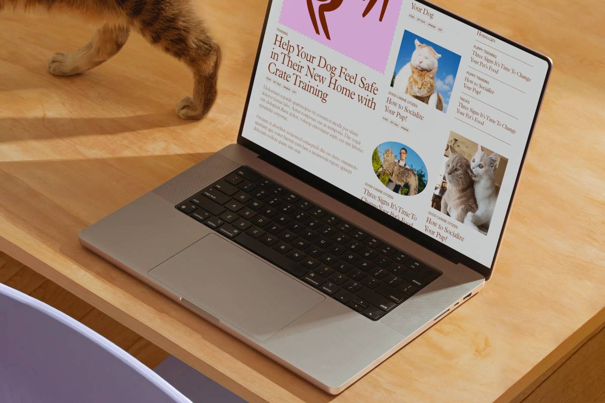 The Wildest: Website​​​​‌﻿‍﻿​‍​‍‌‍﻿﻿‌﻿​‍‌‍‍‌‌‍‌﻿‌‍‍‌‌‍﻿‍​‍​‍​﻿‍‍​‍​‍‌﻿​﻿‌‍​‌‌‍﻿‍‌‍‍‌‌﻿‌​‌﻿‍‌​‍﻿‍‌‍‍‌‌‍﻿﻿​‍​‍​‍﻿​​‍​‍‌‍‍​‌﻿​‍‌‍‌‌‌‍‌‍​‍​‍​﻿‍‍​‍​‍‌‍‍​‌﻿‌​‌﻿‌​‌﻿​​‌﻿​﻿​﻿‍‍​‍﻿﻿​‍﻿﻿‌‍‌​‌‍‌‌‌﻿​﻿‌‍‍‌‌‍‌﻿‌‍﻿‍‌‍‌‌‌﻿‌‍‌‍‌‌‌﻿​‍‌﻿‍‌‌﻿‌﻿‌‍‍​‌‍‌‌‌﻿​‍‌‍‌‌​‍﻿‍‌﻿​﻿‌‍​‌‌‍﻿‍‌‍‍‌‌﻿‌​‌﻿‍‌​‍﻿‍‌﻿​﻿‌﻿‌​‌﻿‌‌‌‍‌​‌‍‍‌‌‍﻿﻿​‍﻿﻿‌‍‍‌‌‍﻿‍‌﻿‌​‌‍‌‌‌‍﻿‍‌﻿‌​​‍﻿﻿‌‍‌‌‌‍‌​‌‍‍‌‌﻿‌​​‍﻿﻿‌‍﻿‌‌‍﻿﻿‌‍‌​‌‍‌‌​﻿﻿‌‌﻿​​‌﻿​‍‌‍‌‌‌﻿​﻿‌‍‌‌‌‍﻿‍‌﻿‌​‌‍​‌‌﻿‌​‌‍‍‌‌‍﻿﻿‌‍﻿‍​﻿‍﻿‌‍‍‌‌‍‌​​﻿﻿‌‌‍‌​‌‍‌‌‌﻿​﻿‌‍‍‌‌‍‌﻿‌‍﻿‍‌‌‌﻿‌‍﻿﻿‌﻿​‍‌‍‍﻿​‍﻿‌​﻿​‌​﻿‌‌​﻿​‍​﻿‌​​﻿‍​​﻿‌​​﻿‌‍​﻿​﻿​﻿​​​﻿‍﻿‌﻿‌​‌﻿‍‌‌﻿​​‌‍‌‌​﻿﻿‌‌‍‌​‌‍‌‌‌﻿​﻿‌‍‍‌‌‍‌﻿‌‍﻿‍‌‌‌﻿‌‍﻿﻿‌﻿​‍‌‍‍﻿​﻿‍﻿‌﻿​​‌‍​‌‌﻿‌​‌‍‍​​﻿﻿‌‌‍​﻿‌‍﻿﻿‌‍﻿‍‌﻿‌​‌‍‌‌‌‍﻿‍‌﻿‌​​‍‌‌​﻿‌‌‌​​‍‌‌﻿﻿‌‍‍﻿‌‍‌‌‌﻿‍‌​‍‌‌​﻿​﻿‌​‌​​‍‌‌​﻿​﻿‌​‌​​‍‌‌​﻿​‍​﻿​‍‌﻿‌‌‌‍​‍‌﻿​​​﻿​‍‌‍‍‍‌‍﻿‌‌‍​‌​﻿‌‍‌﻿‌‌‌﻿​​​‍‌‌​﻿​‍​﻿​‍​‍‌‌​﻿‌‌‌​‌​​‍﻿‍‌‍﻿‌‌‍‌‌‌‍‌​‌‍‍‌‌‍​‌​‍‌‌​﻿‌‌‌​​‍‌‌﻿﻿‌‍‍﻿‌‍‌‌‌﻿‍‌​‍‌‌​﻿​﻿‌​‌​​‍‌‌​﻿​﻿‌​‌​​‍‌‌​﻿​‍​﻿​‍‌‍‌‌‌﻿‌‍‌﻿‌​‌﻿​​‌﻿‌​‌﻿‌‌​﻿​‌‌﻿‍‌​﻿​‍‌‍​﻿​‍‌‌​﻿​‍​﻿​‍​‍‌‌​﻿‌‌‌​‌​​‍﻿‍‌‍​﻿‌‍​‌‌﻿​​‌﻿‌​‌‍‍‌‌‍﻿﻿‌‍﻿‍​﻿﻿﻿‌‍​‍‌‍​‌‌﻿​﻿‌‍‌‌‌‌‌‌‌﻿​‍‌‍﻿​​﻿﻿‌‌‍‍​‌﻿‌​‌﻿‌​‌﻿​​‌﻿​﻿​‍‌‌​﻿​﻿‌​​‌​‍‌‌​﻿​‍‌​‌‍​‍‌‌​﻿​‍‌​‌‍‌‍‌​‌‍‌‌‌﻿​﻿‌‍‍‌‌‍‌﻿‌‍﻿‍‌‍‌‌‌﻿‌‍‌‍‌‌‌﻿​‍‌﻿‍‌‌﻿‌﻿‌‍‍​‌‍‌‌‌﻿​‍‌‍‌‌​‍﻿‍‌﻿​﻿‌‍​‌‌‍﻿‍‌‍‍‌‌﻿‌​‌﻿‍‌​‍﻿‍‌﻿​﻿‌﻿‌​‌﻿‌‌‌‍‌​‌‍‍‌‌‍﻿﻿​‍‌‍‌‍‍‌‌‍‌​​﻿﻿‌‌‍‌​‌‍‌‌‌﻿​﻿‌‍‍‌‌‍‌﻿‌‍﻿‍‌‌‌﻿‌‍﻿﻿‌﻿​‍‌‍‍﻿​‍﻿‌​﻿​‌​﻿‌‌​﻿​‍​﻿‌​​﻿‍​​﻿‌​​﻿‌‍​﻿​﻿​﻿​​​‍‌‍‌﻿‌​‌﻿‍‌‌﻿​​‌‍‌‌​﻿﻿‌‌‍‌​‌‍‌‌‌﻿​﻿‌‍‍‌‌‍‌﻿‌‍﻿‍‌‌‌﻿‌‍﻿﻿‌﻿​‍‌‍‍﻿​‍‌‍‌﻿​​‌‍​‌‌﻿‌​‌‍‍​​﻿﻿‌‌‍​﻿‌‍﻿﻿‌‍﻿‍‌﻿‌​‌‍‌‌‌‍﻿‍‌﻿‌​​‍‌‌​﻿‌‌‌​​‍‌‌﻿﻿‌‍‍﻿‌‍‌‌‌﻿‍‌​‍‌‌​﻿​﻿‌​‌​​‍‌‌​﻿​﻿‌​‌​​‍‌‌​﻿​‍​﻿​‍‌﻿‌‌‌‍​‍‌﻿​​​﻿​‍‌‍‍‍‌‍﻿‌‌‍​‌​﻿‌‍‌﻿‌‌‌﻿​​​‍‌‌​﻿​‍​﻿​‍​‍‌‌​﻿‌‌‌​‌​​‍﻿‍‌‍﻿‌‌‍‌‌‌‍‌​‌‍‍‌‌‍​‌​‍‌‌​﻿‌‌‌​​‍‌‌﻿﻿‌‍‍﻿‌‍‌‌‌﻿‍‌​‍‌‌​﻿​﻿‌​‌​​‍‌‌​﻿​﻿‌​‌​​‍‌‌​﻿​‍​﻿​‍‌‍‌‌‌﻿‌‍‌﻿‌​‌﻿​​‌﻿‌​‌﻿‌‌​﻿​‌‌﻿‍‌​﻿​‍‌‍​﻿​‍‌‌​﻿​‍​﻿​‍​‍‌‌​﻿‌‌‌​‌​​‍﻿‍‌‍​﻿‌‍​‌‌﻿​​‌﻿‌​‌‍‍‌‌‍﻿﻿‌‍﻿‍​‍‌‍‌﻿​​‌‍‌‌‌﻿​‍‌﻿​﻿‌﻿​​‌‍‌‌‌‍​﻿‌﻿‌​‌‍‍‌‌﻿‌‍‌‍‌‌​﻿﻿‌‌﻿​​‌﻿‌‌‌‍​‍‌‍﻿​‌‍‍‌‌﻿​﻿‌‍‍​‌‍‌‌‌‍‌​​‍​‍‌﻿﻿‌