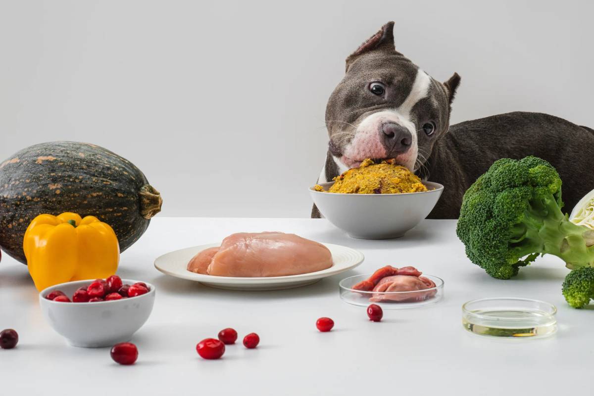 Pepper: Photography​​​​‌﻿‍﻿​‍​‍‌‍﻿﻿‌﻿​‍‌‍‍‌‌‍‌﻿‌‍‍‌‌‍﻿‍​‍​‍​﻿‍‍​‍​‍‌﻿​﻿‌‍​‌‌‍﻿‍‌‍‍‌‌﻿‌​‌﻿‍‌​‍﻿‍‌‍‍‌‌‍﻿﻿​‍​‍​‍﻿​​‍​‍‌‍‍​‌﻿​‍‌‍‌‌‌‍‌‍​‍​‍​﻿‍‍​‍​‍‌‍‍​‌﻿‌​‌﻿‌​‌﻿​​‌﻿​﻿​﻿‍‍​‍﻿﻿​‍﻿﻿‌‍‌​‌‍‌‌‌﻿​﻿‌‍‍‌‌‍‌﻿‌‍﻿‍‌‍‌‌‌﻿‌‍‌‍‌‌‌﻿​‍‌﻿‍‌‌﻿‌﻿‌‍‍​‌‍‌‌‌﻿​‍‌‍‌‌​‍﻿‍‌﻿​﻿‌‍​‌‌‍﻿‍‌‍‍‌‌﻿‌​‌﻿‍‌​‍﻿‍‌﻿​﻿‌﻿‌​‌﻿‌‌‌‍‌​‌‍‍‌‌‍﻿﻿​‍﻿﻿‌‍‍‌‌‍﻿‍‌﻿‌​‌‍‌‌‌‍﻿‍‌﻿‌​​‍﻿﻿‌‍‌‌‌‍‌​‌‍‍‌‌﻿‌​​‍﻿﻿‌‍﻿‌‌‍﻿﻿‌‍‌​‌‍‌‌​﻿﻿‌‌﻿​​‌﻿​‍‌‍‌‌‌﻿​﻿‌‍‌‌‌‍﻿‍‌﻿‌​‌‍​‌‌﻿‌​‌‍‍‌‌‍﻿﻿‌‍﻿‍​﻿‍﻿‌‍‍‌‌‍‌​​﻿﻿‌‌‍‌​‌‍‌‌‌﻿​﻿‌‍‍‌‌‍‌﻿‌‍﻿‍‌‌‌﻿‌‍﻿﻿‌﻿​‍‌‍‍﻿​‍﻿‌​﻿​‌​﻿​﻿​﻿​﻿​﻿​​​﻿​​​﻿​﻿​﻿​﻿​﻿‌‌​﻿​‌​﻿‍﻿‌﻿‌​‌﻿‍‌‌﻿​​‌‍‌‌​﻿﻿‌‌‍‌​‌‍‌‌‌﻿​﻿‌‍‍‌‌‍‌﻿‌‍﻿‍‌‌‌﻿‌‍﻿﻿‌﻿​‍‌‍‍﻿​﻿‍﻿‌﻿​​‌‍​‌‌﻿‌​‌‍‍​​﻿﻿‌‌‍​﻿‌‍﻿﻿‌‍﻿‍‌﻿‌​‌‍‌‌‌‍﻿‍‌﻿‌​​‍‌‌​﻿‌‌‌​​‍‌‌﻿﻿‌‍‍﻿‌‍‌‌‌﻿‍‌​‍‌‌​﻿​﻿‌​‌​​‍‌‌​﻿​﻿‌​‌​​‍‌‌​﻿​‍​﻿​‍‌﻿​‌​﻿​​‌﻿‍​​﻿‍​​﻿‌﻿​﻿​‌‌‍‌​‌﻿​﻿‌﻿‌﻿‌﻿‌​​‍‌‌​﻿​‍​﻿​‍​‍‌‌​﻿‌‌‌​‌​​‍﻿‍‌‍﻿‌‌‍‌‌‌‍‌​‌‍‍‌‌‍​‌​‍‌‌​﻿‌‌‌​​‍‌‌﻿﻿‌‍‍﻿‌‍‌‌‌﻿‍‌​‍‌‌​﻿​﻿‌​‌​​‍‌‌​﻿​﻿‌​‌​​‍‌‌​﻿​‍​﻿​‍‌﻿​‍‌﻿​‍‌‍‍​‌‍​‍​﻿​﻿‌‍﻿​‌‍﻿﻿​﻿​﻿​﻿‍‌​﻿​﻿​‍‌‌​﻿​‍​﻿​‍​‍‌‌​﻿‌‌‌​‌​​‍﻿‍‌‍​﻿‌‍​‌‌﻿​​‌﻿‌​‌‍‍‌‌‍﻿﻿‌‍﻿‍​﻿﻿﻿‌‍​‍‌‍​‌‌﻿​﻿‌‍‌‌‌‌‌‌‌﻿​‍‌‍﻿​​﻿﻿‌‌‍‍​‌﻿‌​‌﻿‌​‌﻿​​‌﻿​﻿​‍‌‌​﻿​﻿‌​​‌​‍‌‌​﻿​‍‌​‌‍​‍‌‌​﻿​‍‌​‌‍‌‍‌​‌‍‌‌‌﻿​﻿‌‍‍‌‌‍‌﻿‌‍﻿‍‌‍‌‌‌﻿‌‍‌‍‌‌‌﻿​‍‌﻿‍‌‌﻿‌﻿‌‍‍​‌‍‌‌‌﻿​‍‌‍‌‌​‍﻿‍‌﻿​﻿‌‍​‌‌‍﻿‍‌‍‍‌‌﻿‌​‌﻿‍‌​‍﻿‍‌﻿​﻿‌﻿‌​‌﻿‌‌‌‍‌​‌‍‍‌‌‍﻿﻿​‍‌‍‌‍‍‌‌‍‌​​﻿﻿‌‌‍‌​‌‍‌‌‌﻿​﻿‌‍‍‌‌‍‌﻿‌‍﻿‍‌‌‌﻿‌‍﻿﻿‌﻿​‍‌‍‍﻿​‍﻿‌​﻿​‌​﻿​﻿​﻿​﻿​﻿​​​﻿​​​﻿​﻿​﻿​﻿​﻿‌‌​﻿​‌​‍‌‍‌﻿‌​‌﻿‍‌‌﻿​​‌‍‌‌​﻿﻿‌‌‍‌​‌‍‌‌‌﻿​﻿‌‍‍‌‌‍‌﻿‌‍﻿‍‌‌‌﻿‌‍﻿﻿‌﻿​‍‌‍‍﻿​‍‌‍‌﻿​​‌‍​‌‌﻿‌​‌‍‍​​﻿﻿‌‌‍​﻿‌‍﻿﻿‌‍﻿‍‌﻿‌​‌‍‌‌‌‍﻿‍‌﻿‌​​‍‌‌​﻿‌‌‌​​‍‌‌﻿﻿‌‍‍﻿‌‍‌‌‌﻿‍‌​‍‌‌​﻿​﻿‌​‌​​‍‌‌​﻿​﻿‌​‌​​‍‌‌​﻿​‍​﻿​‍‌﻿​‌​﻿​​‌﻿‍​​﻿‍​​﻿‌﻿​﻿​‌‌‍‌​‌﻿​﻿‌﻿‌﻿‌﻿‌​​‍‌‌​﻿​‍​﻿​‍​‍‌‌​﻿‌‌‌​‌​​‍﻿‍‌‍﻿‌‌‍‌‌‌‍‌​‌‍‍‌‌‍​‌​‍‌‌​﻿‌‌‌​​‍‌‌﻿﻿‌‍‍﻿‌‍‌‌‌﻿‍‌​‍‌‌​﻿​﻿‌​‌​​‍‌‌​﻿​﻿‌​‌​​‍‌‌​﻿​‍​﻿​‍‌﻿​‍‌﻿​‍‌‍‍​‌‍​‍​﻿​﻿‌‍﻿​‌‍﻿﻿​﻿​﻿​﻿‍‌​﻿​﻿​‍‌‌​﻿​‍​﻿​‍​‍‌‌​﻿‌‌‌​‌​​‍﻿‍‌‍​﻿‌‍​‌‌﻿​​‌﻿‌​‌‍‍‌‌‍﻿﻿‌‍﻿‍​‍‌‍‌﻿​​‌‍‌‌‌﻿​‍‌﻿​﻿‌﻿​​‌‍‌‌‌‍​﻿‌﻿‌​‌‍‍‌‌﻿‌‍‌‍‌‌​﻿﻿‌‌﻿​​‌﻿‌‌‌‍​‍‌‍﻿​‌‍‍‌‌﻿​﻿‌‍‍​‌‍‌‌‌‍‌​​‍​‍‌﻿﻿‌