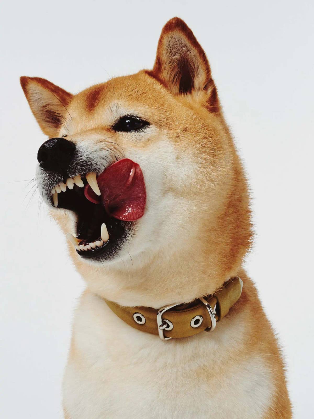 LUNGE: Photography​​​​‌﻿‍﻿​‍​‍‌‍﻿﻿‌﻿​‍‌‍‍‌‌‍‌﻿‌‍‍‌‌‍﻿‍​‍​‍​﻿‍‍​‍​‍‌﻿​﻿‌‍​‌‌‍﻿‍‌‍‍‌‌﻿‌​‌﻿‍‌​‍﻿‍‌‍‍‌‌‍﻿﻿​‍​‍​‍﻿​​‍​‍‌‍‍​‌﻿​‍‌‍‌‌‌‍‌‍​‍​‍​﻿‍‍​‍​‍‌‍‍​‌﻿‌​‌﻿‌​‌﻿​​‌﻿​﻿​﻿‍‍​‍﻿﻿​‍﻿﻿‌‍‌​‌‍‌‌‌﻿​﻿‌‍‍‌‌‍‌﻿‌‍﻿‍‌‍‌‌‌﻿‌‍‌‍‌‌‌﻿​‍‌﻿‍‌‌﻿‌﻿‌‍‍​‌‍‌‌‌﻿​‍‌‍‌‌​‍﻿‍‌﻿​﻿‌‍​‌‌‍﻿‍‌‍‍‌‌﻿‌​‌﻿‍‌​‍﻿‍‌﻿​﻿‌﻿‌​‌﻿‌‌‌‍‌​‌‍‍‌‌‍﻿﻿​‍﻿﻿‌‍‍‌‌‍﻿‍‌﻿‌​‌‍‌‌‌‍﻿‍‌﻿‌​​‍﻿﻿‌‍‌‌‌‍‌​‌‍‍‌‌﻿‌​​‍﻿﻿‌‍﻿‌‌‍﻿﻿‌‍‌​‌‍‌‌​﻿﻿‌‌﻿​​‌﻿​‍‌‍‌‌‌﻿​﻿‌‍‌‌‌‍﻿‍‌﻿‌​‌‍​‌‌﻿‌​‌‍‍‌‌‍﻿﻿‌‍﻿‍​﻿‍﻿‌‍‍‌‌‍‌​​﻿﻿‌‌‍‌​‌‍‌‌‌﻿​﻿‌‍‍‌‌‍‌﻿‌‍﻿‍‌‌‌﻿‌‍﻿﻿‌﻿​‍‌‍‍﻿​‍﻿‌‌‌​‍‌﻿‍​‌​​‍‌​‌‌‌‍‌‍‌‍‍﻿‌​‍​‌‍​‌‌‌​‌‌‌‌‌‌﻿‌‌‌‌﻿﻿​﻿‍​‌​‌‌‌﻿‌‌‌‌‍‍‌​‌‌‌​​﻿‌‍​﻿​﻿​​‌﻿​​‌​​‌​﻿‍﻿‌﻿‌​‌﻿‍‌‌﻿​​‌‍‌‌​﻿﻿‌‌‍‌​‌‍‌‌‌﻿​﻿‌‍‍‌‌‍‌﻿‌‍﻿‍‌‌‌﻿‌‍﻿﻿‌﻿​‍‌‍‍﻿​﻿‍﻿‌﻿​​‌‍​‌‌﻿‌​‌‍‍​​﻿﻿‌‌‍​﻿‌‍﻿﻿‌‍﻿‍‌﻿‌​‌‍‌‌‌‍﻿‍‌﻿‌​​‍‌‌​﻿‌‌‌​​‍‌‌﻿﻿‌‍‍﻿‌‍‌‌‌﻿‍‌​‍‌‌​﻿​﻿‌​‌​​‍‌‌​﻿​﻿‌​‌​​‍‌‌​﻿​‍​﻿​‍‌‍​‌‌﻿‍‌‌﻿​‍‌‍‌​‌﻿‌‍‌‍‍﻿​﻿‍​​﻿‍​‌﻿‌​​﻿‍‌​‍‌‌​﻿​‍​﻿​‍​‍‌‌​﻿‌‌‌​‌​​‍﻿‍‌‍﻿‌‌‍‌‌‌‍‌​‌‍‍‌‌‍​‌​‍‌‌​﻿‌‌‌​​‍‌‌﻿﻿‌‍‍﻿‌‍‌‌‌﻿‍‌​‍‌‌​﻿​﻿‌​‌​​‍‌‌​﻿​﻿‌​‌​​‍‌‌​﻿​‍​﻿​‍‌‍​‌​﻿‌﻿‌‍﻿‌‌‍‍﻿‌﻿‌﻿‌﻿‍‍‌‍‍​‌‍​‌‌‍﻿‌​﻿​﻿​‍‌‌​﻿​‍​﻿​‍​‍‌‌​﻿‌‌‌​‌​​‍﻿‍‌‍​﻿‌‍​‌‌﻿​​‌﻿‌​‌‍‍‌‌‍﻿﻿‌‍﻿‍​﻿﻿﻿‌‍​‍‌‍​‌‌﻿​﻿‌‍‌‌‌‌‌‌‌﻿​‍‌‍﻿​​﻿﻿‌‌‍‍​‌﻿‌​‌﻿‌​‌﻿​​‌﻿​﻿​‍‌‌​﻿​﻿‌​​‌​‍‌‌​﻿​‍‌​‌‍​‍‌‌​﻿​‍‌​‌‍‌‍‌​‌‍‌‌‌﻿​﻿‌‍‍‌‌‍‌﻿‌‍﻿‍‌‍‌‌‌﻿‌‍‌‍‌‌‌﻿​‍‌﻿‍‌‌﻿‌﻿‌‍‍​‌‍‌‌‌﻿​‍‌‍‌‌​‍﻿‍‌﻿​﻿‌‍​‌‌‍﻿‍‌‍‍‌‌﻿‌​‌﻿‍‌​‍﻿‍‌﻿​﻿‌﻿‌​‌﻿‌‌‌‍‌​‌‍‍‌‌‍﻿﻿​‍‌‍‌‍‍‌‌‍‌​​﻿﻿‌‌‍‌​‌‍‌‌‌﻿​﻿‌‍‍‌‌‍‌﻿‌‍﻿‍‌‌‌﻿‌‍﻿﻿‌﻿​‍‌‍‍﻿​‍﻿‌‌‌​‍‌﻿‍​‌​​‍‌​‌‌‌‍‌‍‌‍‍﻿‌​‍​‌‍​‌‌‌​‌‌‌‌‌‌﻿‌‌‌‌﻿﻿​﻿‍​‌​‌‌‌﻿‌‌‌‌‍‍‌​‌‌‌​​﻿‌‍​﻿​﻿​​‌﻿​​‌​​‌​‍‌‍‌﻿‌​‌﻿‍‌‌﻿​​‌‍‌‌​﻿﻿‌‌‍‌​‌‍‌‌‌﻿​﻿‌‍‍‌‌‍‌﻿‌‍﻿‍‌‌‌﻿‌‍﻿﻿‌﻿​‍‌‍‍﻿​‍‌‍‌﻿​​‌‍​‌‌﻿‌​‌‍‍​​﻿﻿‌‌‍​﻿‌‍﻿﻿‌‍﻿‍‌﻿‌​‌‍‌‌‌‍﻿‍‌﻿‌​​‍‌‌​﻿‌‌‌​​‍‌‌﻿﻿‌‍‍﻿‌‍‌‌‌﻿‍‌​‍‌‌​﻿​﻿‌​‌​​‍‌‌​﻿​﻿‌​‌​​‍‌‌​﻿​‍​﻿​‍‌‍​‌‌﻿‍‌‌﻿​‍‌‍‌​‌﻿‌‍‌‍‍﻿​﻿‍​​﻿‍​‌﻿‌​​﻿‍‌​‍‌‌​﻿​‍​﻿​‍​‍‌‌​﻿‌‌‌​‌​​‍﻿‍‌‍﻿‌‌‍‌‌‌‍‌​‌‍‍‌‌‍​‌​‍‌‌​﻿‌‌‌​​‍‌‌﻿﻿‌‍‍﻿‌‍‌‌‌﻿‍‌​‍‌‌​﻿​﻿‌​‌​​‍‌‌​﻿​﻿‌​‌​​‍‌‌​﻿​‍​﻿​‍‌‍​‌​﻿‌﻿‌‍﻿‌‌‍‍﻿‌﻿‌﻿‌﻿‍‍‌‍‍​‌‍​‌‌‍﻿‌​﻿​﻿​‍‌‌​﻿​‍​﻿​‍​‍‌‌​﻿‌‌‌​‌​​‍﻿‍‌‍​﻿‌‍​‌‌﻿​​‌﻿‌​‌‍‍‌‌‍﻿﻿‌‍﻿‍​‍‌‍‌﻿​​‌‍‌‌‌﻿​‍‌﻿​﻿‌﻿​​‌‍‌‌‌‍​﻿‌﻿‌​‌‍‍‌‌﻿‌‍‌‍‌‌​﻿﻿‌‌﻿​​‌﻿‌‌‌‍​‍‌‍﻿​‌‍‍‌‌﻿​﻿‌‍‍​‌‍‌‌‌‍‌​​‍​‍‌﻿﻿‌