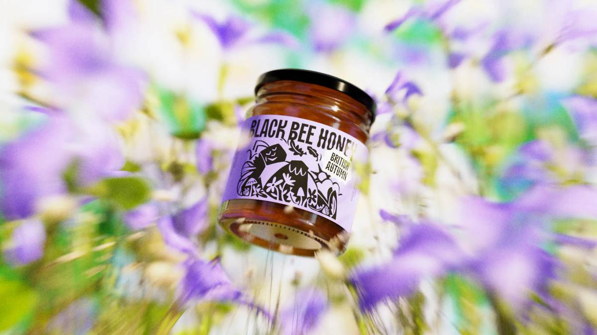 Black Bee Honey: Packaging​​​​‌﻿‍﻿​‍​‍‌‍﻿﻿‌﻿​‍‌‍‍‌‌‍‌﻿‌‍‍‌‌‍﻿‍​‍​‍​﻿‍‍​‍​‍‌﻿​﻿‌‍​‌‌‍﻿‍‌‍‍‌‌﻿‌​‌﻿‍‌​‍﻿‍‌‍‍‌‌‍﻿﻿​‍​‍​‍﻿​​‍​‍‌‍‍​‌﻿​‍‌‍‌‌‌‍‌‍​‍​‍​﻿‍‍​‍​‍‌‍‍​‌﻿‌​‌﻿‌​‌﻿​​‌﻿​﻿​﻿‍‍​‍﻿﻿​‍﻿﻿‌‍‌​‌‍‌‌‌﻿​﻿‌‍‍‌‌‍‌﻿‌‍﻿‍‌‍‌‌‌﻿‌‍‌‍‌‌‌﻿​‍‌﻿‍‌‌﻿‌﻿‌‍‍​‌‍‌‌‌﻿​‍‌‍‌‌​‍﻿‍‌﻿​﻿‌‍​‌‌‍﻿‍‌‍‍‌‌﻿‌​‌﻿‍‌​‍﻿‍‌﻿​﻿‌﻿‌​‌﻿‌‌‌‍‌​‌‍‍‌‌‍﻿﻿​‍﻿﻿‌‍‍‌‌‍﻿‍‌﻿‌​‌‍‌‌‌‍﻿‍‌﻿‌​​‍﻿﻿‌‍‌‌‌‍‌​‌‍‍‌‌﻿‌​​‍﻿﻿‌‍﻿‌‌‍﻿﻿‌‍‌​‌‍‌‌​﻿﻿‌‌﻿​​‌﻿​‍‌‍‌‌‌﻿​﻿‌‍‌‌‌‍﻿‍‌﻿‌​‌‍​‌‌﻿‌​‌‍‍‌‌‍﻿﻿‌‍﻿‍​﻿‍﻿‌‍‍‌‌‍‌​​﻿﻿‌‌‍‌​‌‍‌‌‌﻿​﻿‌‍‍‌‌‍‌﻿‌‍﻿‍‌‌‌﻿‌‍﻿﻿‌﻿​‍‌‍‍﻿​‍﻿‌‌​​‍‌‍‌‌‌​‌‍‌​​﻿‌﻿‌​​﻿​‌‌﻿‌‍‌﻿‌‍‌‌‌​‌‍‍​‌​‌﻿‌﻿‌﻿‌​​‌‌‌​﻿‌​‌‌‌‌‌‌​﻿​﻿‌﻿​‌‌‍‍‌‌﻿‍​‌‍﻿‍‌​​‌​﻿‍﻿‌﻿‌​‌﻿‍‌‌﻿​​‌‍‌‌​﻿﻿‌‌‍‌​‌‍‌‌‌﻿​﻿‌‍‍‌‌‍‌﻿‌‍﻿‍‌‌‌﻿‌‍﻿﻿‌﻿​‍‌‍‍﻿​﻿‍﻿‌﻿​​‌‍​‌‌﻿‌​‌‍‍​​﻿﻿‌‌‍​﻿‌‍﻿﻿‌‍﻿‍‌﻿‌​‌‍‌‌‌‍﻿‍‌﻿‌​​‍‌‌​﻿‌‌‌​​‍‌‌﻿﻿‌‍‍﻿‌‍‌‌‌﻿‍‌​‍‌‌​﻿​﻿‌​‌​​‍‌‌​﻿​﻿‌​‌​​‍‌‌​﻿​‍​﻿​‍​﻿​‌‌‍​‌‌﻿‌​​﻿​‌‌﻿‍‌​﻿​‍‌‍‍​‌﻿‌﻿​﻿‌﻿​﻿‍‌​‍‌‌​﻿​‍​﻿​‍​‍‌‌​﻿‌‌‌​‌​​‍﻿‍‌‍﻿‌‌‍‌‌‌‍‌​‌‍‍‌‌‍​‌​‍‌‌​﻿‌‌‌​​‍‌‌﻿﻿‌‍‍﻿‌‍‌‌‌﻿‍‌​‍‌‌​﻿​﻿‌​‌​​‍‌‌​﻿​﻿‌​‌​​‍‌‌​﻿​‍​﻿​‍‌﻿‌‍​﻿​‌​﻿​﻿‌‍‌‍‌‍‍﻿‌‍‌‍​﻿‌​‌﻿‌​‌﻿‍‍​﻿‍‌​‍‌‌​﻿​‍​﻿​‍​‍‌‌​﻿‌‌‌​‌​​‍﻿‍‌‍​﻿‌‍​‌‌﻿​​‌﻿‌​‌‍‍‌‌‍﻿﻿‌‍﻿‍​﻿﻿﻿‌‍​‍‌‍​‌‌﻿​﻿‌‍‌‌‌‌‌‌‌﻿​‍‌‍﻿​​﻿﻿‌‌‍‍​‌﻿‌​‌﻿‌​‌﻿​​‌﻿​﻿​‍‌‌​﻿​﻿‌​​‌​‍‌‌​﻿​‍‌​‌‍​‍‌‌​﻿​‍‌​‌‍‌‍‌​‌‍‌‌‌﻿​﻿‌‍‍‌‌‍‌﻿‌‍﻿‍‌‍‌‌‌﻿‌‍‌‍‌‌‌﻿​‍‌﻿‍‌‌﻿‌﻿‌‍‍​‌‍‌‌‌﻿​‍‌‍‌‌​‍﻿‍‌﻿​﻿‌‍​‌‌‍﻿‍‌‍‍‌‌﻿‌​‌﻿‍‌​‍﻿‍‌﻿​﻿‌﻿‌​‌﻿‌‌‌‍‌​‌‍‍‌‌‍﻿﻿​‍‌‍‌‍‍‌‌‍‌​​﻿﻿‌‌‍‌​‌‍‌‌‌﻿​﻿‌‍‍‌‌‍‌﻿‌‍﻿‍‌‌‌﻿‌‍﻿﻿‌﻿​‍‌‍‍﻿​‍﻿‌‌​​‍‌‍‌‌‌​‌‍‌​​﻿‌﻿‌​​﻿​‌‌﻿‌‍‌﻿‌‍‌‌‌​‌‍‍​‌​‌﻿‌﻿‌﻿‌​​‌‌‌​﻿‌​‌‌‌‌‌‌​﻿​﻿‌﻿​‌‌‍‍‌‌﻿‍​‌‍﻿‍‌​​‌​‍‌‍‌﻿‌​‌﻿‍‌‌﻿​​‌‍‌‌​﻿﻿‌‌‍‌​‌‍‌‌‌﻿​﻿‌‍‍‌‌‍‌﻿‌‍﻿‍‌‌‌﻿‌‍﻿﻿‌﻿​‍‌‍‍﻿​‍‌‍‌﻿​​‌‍​‌‌﻿‌​‌‍‍​​﻿﻿‌‌‍​﻿‌‍﻿﻿‌‍﻿‍‌﻿‌​‌‍‌‌‌‍﻿‍‌﻿‌​​‍‌‌​﻿‌‌‌​​‍‌‌﻿﻿‌‍‍﻿‌‍‌‌‌﻿‍‌​‍‌‌​﻿​﻿‌​‌​​‍‌‌​﻿​﻿‌​‌​​‍‌‌​﻿​‍​﻿​‍​﻿​‌‌‍​‌‌﻿‌​​﻿​‌‌﻿‍‌​﻿​‍‌‍‍​‌﻿‌﻿​﻿‌﻿​﻿‍‌​‍‌‌​﻿​‍​﻿​‍​‍‌‌​﻿‌‌‌​‌​​‍﻿‍‌‍﻿‌‌‍‌‌‌‍‌​‌‍‍‌‌‍​‌​‍‌‌​﻿‌‌‌​​‍‌‌﻿﻿‌‍‍﻿‌‍‌‌‌﻿‍‌​‍‌‌​﻿​﻿‌​‌​​‍‌‌​﻿​﻿‌​‌​​‍‌‌​﻿​‍​﻿​‍‌﻿‌‍​﻿​‌​﻿​﻿‌‍‌‍‌‍‍﻿‌‍‌‍​﻿‌​‌﻿‌​‌﻿‍‍​﻿‍‌​‍‌‌​﻿​‍​﻿​‍​‍‌‌​﻿‌‌‌​‌​​‍﻿‍‌‍​﻿‌‍​‌‌﻿​​‌﻿‌​‌‍‍‌‌‍﻿﻿‌‍﻿‍​‍‌‍‌﻿​​‌‍‌‌‌﻿​‍‌﻿​﻿‌﻿​​‌‍‌‌‌‍​﻿‌﻿‌​‌‍‍‌‌﻿‌‍‌‍‌‌​﻿﻿‌‌﻿​​‌﻿‌‌‌‍​‍‌‍﻿​‌‍‍‌‌﻿​﻿‌‍‍​‌‍‌‌‌‍‌​​‍​‍‌﻿﻿‌