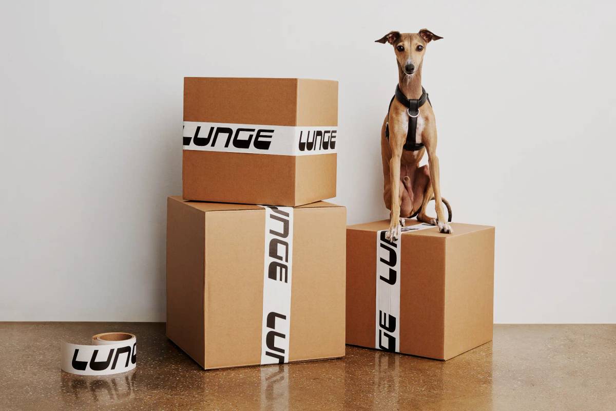 LUNGE: Packing boxes​​​​‌﻿‍﻿​‍​‍‌‍﻿﻿‌﻿​‍‌‍‍‌‌‍‌﻿‌‍‍‌‌‍﻿‍​‍​‍​﻿‍‍​‍​‍‌﻿​﻿‌‍​‌‌‍﻿‍‌‍‍‌‌﻿‌​‌﻿‍‌​‍﻿‍‌‍‍‌‌‍﻿﻿​‍​‍​‍﻿​​‍​‍‌‍‍​‌﻿​‍‌‍‌‌‌‍‌‍​‍​‍​﻿‍‍​‍​‍‌‍‍​‌﻿‌​‌﻿‌​‌﻿​​‌﻿​﻿​﻿‍‍​‍﻿﻿​‍﻿﻿‌‍‌​‌‍‌‌‌﻿​﻿‌‍‍‌‌‍‌﻿‌‍﻿‍‌‍‌‌‌﻿‌‍‌‍‌‌‌﻿​‍‌﻿‍‌‌﻿‌﻿‌‍‍​‌‍‌‌‌﻿​‍‌‍‌‌​‍﻿‍‌﻿​﻿‌‍​‌‌‍﻿‍‌‍‍‌‌﻿‌​‌﻿‍‌​‍﻿‍‌﻿​﻿‌﻿‌​‌﻿‌‌‌‍‌​‌‍‍‌‌‍﻿﻿​‍﻿﻿‌‍‍‌‌‍﻿‍‌﻿‌​‌‍‌‌‌‍﻿‍‌﻿‌​​‍﻿﻿‌‍‌‌‌‍‌​‌‍‍‌‌﻿‌​​‍﻿﻿‌‍﻿‌‌‍﻿﻿‌‍‌​‌‍‌‌​﻿﻿‌‌﻿​​‌﻿​‍‌‍‌‌‌﻿​﻿‌‍‌‌‌‍﻿‍‌﻿‌​‌‍​‌‌﻿‌​‌‍‍‌‌‍﻿﻿‌‍﻿‍​﻿‍﻿‌‍‍‌‌‍‌​​﻿﻿‌‌‍‌​‌‍‌‌‌﻿​﻿‌‍‍‌‌‍‌﻿‌‍﻿‍‌‌‌﻿‌‍﻿﻿‌﻿​‍‌‍‍﻿​‍﻿‌‌‌​‍‌﻿‍​‌​​‍‌​‌‌‌‍‌‍‌‍‍﻿‌​‍​‌‍​‌‌‌​‌‌‌‌‌‌﻿‌‌‌‌﻿﻿​﻿‍​‌​‌‌‌﻿‌‌‌‌‍‍‌​‌‌‌​​﻿‌‍​﻿​﻿​​‌﻿​​‌​​‌​﻿‍﻿‌﻿‌​‌﻿‍‌‌﻿​​‌‍‌‌​﻿﻿‌‌‍‌​‌‍‌‌‌﻿​﻿‌‍‍‌‌‍‌﻿‌‍﻿‍‌‌‌﻿‌‍﻿﻿‌﻿​‍‌‍‍﻿​﻿‍﻿‌﻿​​‌‍​‌‌﻿‌​‌‍‍​​﻿﻿‌‌‍​﻿‌‍﻿﻿‌‍﻿‍‌﻿‌​‌‍‌‌‌‍﻿‍‌﻿‌​​‍‌‌​﻿‌‌‌​​‍‌‌﻿﻿‌‍‍﻿‌‍‌‌‌﻿‍‌​‍‌‌​﻿​﻿‌​‌​​‍‌‌​﻿​﻿‌​‌​​‍‌‌​﻿​‍​﻿​‍​﻿‌‍‌‍‍​‌‍﻿​​﻿‌​​﻿​‌‌‍﻿‍‌﻿‌​‌‍​‍‌‍﻿‌‌‍﻿‍​‍‌‌​﻿​‍​﻿​‍​‍‌‌​﻿‌‌‌​‌​​‍﻿‍‌‍﻿‌‌‍‌‌‌‍‌​‌‍‍‌‌‍​‌​‍‌‌​﻿‌‌‌​​‍‌‌﻿﻿‌‍‍﻿‌‍‌‌‌﻿‍‌​‍‌‌​﻿​﻿‌​‌​​‍‌‌​﻿​﻿‌​‌​​‍‌‌​﻿​‍​﻿​‍‌﻿‍‌‌﻿‍‍​﻿‍​‌‍﻿﻿​﻿‌‌​﻿‌‍​﻿‍​‌‍​‌‌﻿‍‍​﻿​​​‍‌‌​﻿​‍​﻿​‍​‍‌‌​﻿‌‌‌​‌​​‍﻿‍‌‍​﻿‌‍​‌‌﻿​​‌﻿‌​‌‍‍‌‌‍﻿﻿‌‍﻿‍​﻿﻿﻿‌‍​‍‌‍​‌‌﻿​﻿‌‍‌‌‌‌‌‌‌﻿​‍‌‍﻿​​﻿﻿‌‌‍‍​‌﻿‌​‌﻿‌​‌﻿​​‌﻿​﻿​‍‌‌​﻿​﻿‌​​‌​‍‌‌​﻿​‍‌​‌‍​‍‌‌​﻿​‍‌​‌‍‌‍‌​‌‍‌‌‌﻿​﻿‌‍‍‌‌‍‌﻿‌‍﻿‍‌‍‌‌‌﻿‌‍‌‍‌‌‌﻿​‍‌﻿‍‌‌﻿‌﻿‌‍‍​‌‍‌‌‌﻿​‍‌‍‌‌​‍﻿‍‌﻿​﻿‌‍​‌‌‍﻿‍‌‍‍‌‌﻿‌​‌﻿‍‌​‍﻿‍‌﻿​﻿‌﻿‌​‌﻿‌‌‌‍‌​‌‍‍‌‌‍﻿﻿​‍‌‍‌‍‍‌‌‍‌​​﻿﻿‌‌‍‌​‌‍‌‌‌﻿​﻿‌‍‍‌‌‍‌﻿‌‍﻿‍‌‌‌﻿‌‍﻿﻿‌﻿​‍‌‍‍﻿​‍﻿‌‌‌​‍‌﻿‍​‌​​‍‌​‌‌‌‍‌‍‌‍‍﻿‌​‍​‌‍​‌‌‌​‌‌‌‌‌‌﻿‌‌‌‌﻿﻿​﻿‍​‌​‌‌‌﻿‌‌‌‌‍‍‌​‌‌‌​​﻿‌‍​﻿​﻿​​‌﻿​​‌​​‌​‍‌‍‌﻿‌​‌﻿‍‌‌﻿​​‌‍‌‌​﻿﻿‌‌‍‌​‌‍‌‌‌﻿​﻿‌‍‍‌‌‍‌﻿‌‍﻿‍‌‌‌﻿‌‍﻿﻿‌﻿​‍‌‍‍﻿​‍‌‍‌﻿​​‌‍​‌‌﻿‌​‌‍‍​​﻿﻿‌‌‍​﻿‌‍﻿﻿‌‍﻿‍‌﻿‌​‌‍‌‌‌‍﻿‍‌﻿‌​​‍‌‌​﻿‌‌‌​​‍‌‌﻿﻿‌‍‍﻿‌‍‌‌‌﻿‍‌​‍‌‌​﻿​﻿‌​‌​​‍‌‌​﻿​﻿‌​‌​​‍‌‌​﻿​‍​﻿​‍​﻿‌‍‌‍‍​‌‍﻿​​﻿‌​​﻿​‌‌‍﻿‍‌﻿‌​‌‍​‍‌‍﻿‌‌‍﻿‍​‍‌‌​﻿​‍​﻿​‍​‍‌‌​﻿‌‌‌​‌​​‍﻿‍‌‍﻿‌‌‍‌‌‌‍‌​‌‍‍‌‌‍​‌​‍‌‌​﻿‌‌‌​​‍‌‌﻿﻿‌‍‍﻿‌‍‌‌‌﻿‍‌​‍‌‌​﻿​﻿‌​‌​​‍‌‌​﻿​﻿‌​‌​​‍‌‌​﻿​‍​﻿​‍‌﻿‍‌‌﻿‍‍​﻿‍​‌‍﻿﻿​﻿‌‌​﻿‌‍​﻿‍​‌‍​‌‌﻿‍‍​﻿​​​‍‌‌​﻿​‍​﻿​‍​‍‌‌​﻿‌‌‌​‌​​‍﻿‍‌‍​﻿‌‍​‌‌﻿​​‌﻿‌​‌‍‍‌‌‍﻿﻿‌‍﻿‍​‍‌‍‌﻿​​‌‍‌‌‌﻿​‍‌﻿​﻿‌﻿​​‌‍‌‌‌‍​﻿‌﻿‌​‌‍‍‌‌﻿‌‍‌‍‌‌​﻿﻿‌‌﻿​​‌﻿‌‌‌‍​‍‌‍﻿​‌‍‍‌‌﻿​﻿‌‍‍​‌‍‌‌‌‍‌​​‍​‍‌﻿﻿‌