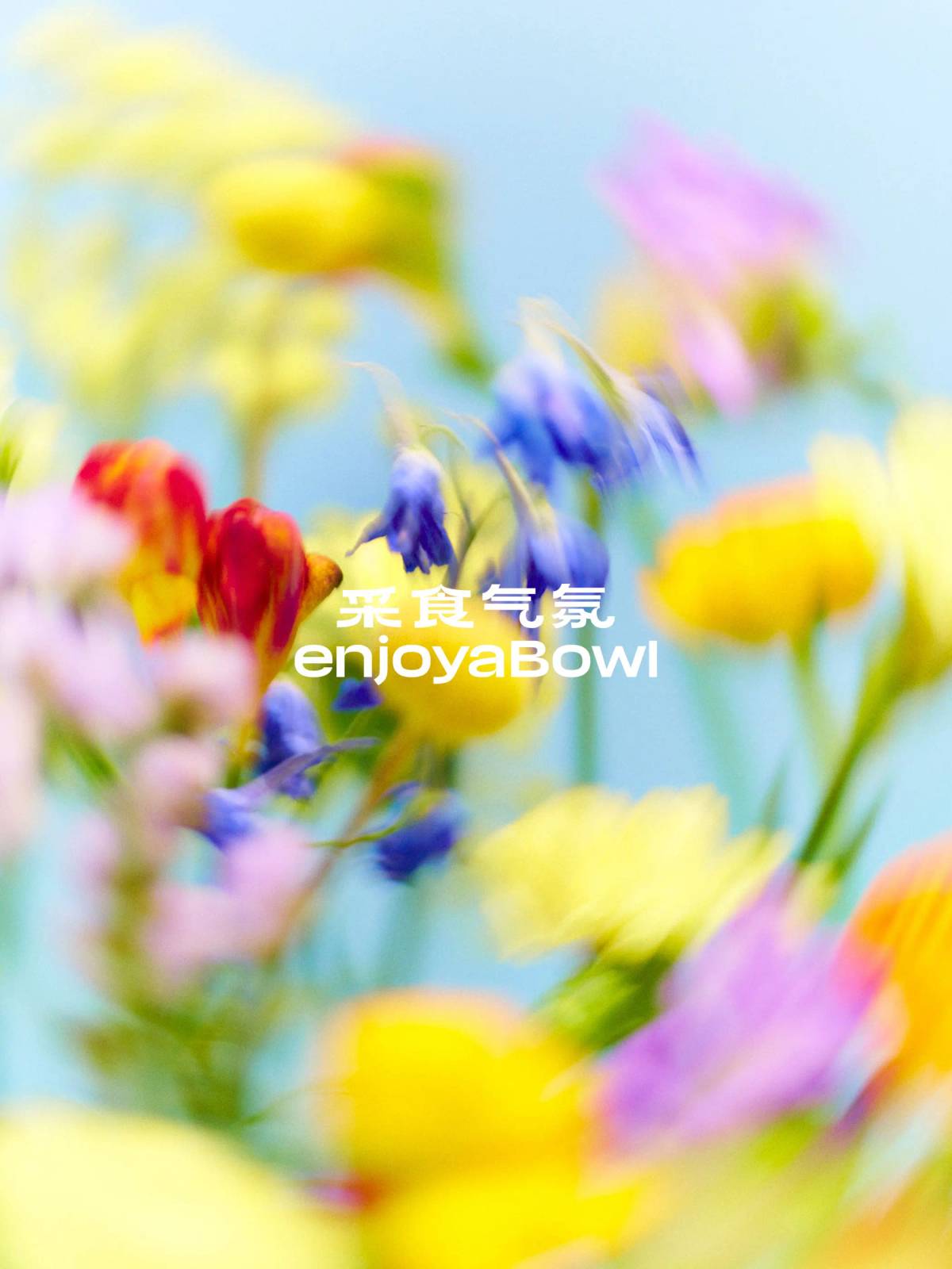EnjoyaBowl: Brand visual​​​​‌﻿‍﻿​‍​‍‌‍﻿﻿‌﻿​‍‌‍‍‌‌‍‌﻿‌‍‍‌‌‍﻿‍​‍​‍​﻿‍‍​‍​‍‌﻿​﻿‌‍​‌‌‍﻿‍‌‍‍‌‌﻿‌​‌﻿‍‌​‍﻿‍‌‍‍‌‌‍﻿﻿​‍​‍​‍﻿​​‍​‍‌‍‍​‌﻿​‍‌‍‌‌‌‍‌‍​‍​‍​﻿‍‍​‍​‍‌‍‍​‌﻿‌​‌﻿‌​‌﻿​​‌﻿​﻿​﻿‍‍​‍﻿﻿​‍﻿﻿‌‍‌​‌‍‌‌‌﻿​﻿‌‍‍‌‌‍‌﻿‌‍﻿‍‌‍‌‌‌﻿‌‍‌‍‌‌‌﻿​‍‌﻿‍‌‌﻿‌﻿‌‍‍​‌‍‌‌‌﻿​‍‌‍‌‌​‍﻿‍‌﻿​﻿‌‍​‌‌‍﻿‍‌‍‍‌‌﻿‌​‌﻿‍‌​‍﻿‍‌﻿​﻿‌﻿‌​‌﻿‌‌‌‍‌​‌‍‍‌‌‍﻿﻿​‍﻿﻿‌‍‍‌‌‍﻿‍‌﻿‌​‌‍‌‌‌‍﻿‍‌﻿‌​​‍﻿﻿‌‍‌‌‌‍‌​‌‍‍‌‌﻿‌​​‍﻿﻿‌‍﻿‌‌‍﻿﻿‌‍‌​‌‍‌‌​﻿﻿‌‌﻿​​‌﻿​‍‌‍‌‌‌﻿​﻿‌‍‌‌‌‍﻿‍‌﻿‌​‌‍​‌‌﻿‌​‌‍‍‌‌‍﻿﻿‌‍﻿‍​﻿‍﻿‌‍‍‌‌‍‌​​﻿﻿‌‌‍‌​‌‍‌‌‌﻿​﻿‌‍‍‌‌‍‌﻿‌‍﻿‍‌‌‌﻿‌‍﻿﻿‌﻿​‍‌‍‍﻿​‍﻿‌‌‌​‌‌﻿‌‌‌​​﻿​﻿‌​‌‍​﻿‌‌‌‍‌﻿‌﻿‌‌​‌‌‌​‍‌‌﻿﻿​﻿​‍‌‍﻿​‌​﻿‍‌﻿​‍‌‍﻿​​﻿‍‌‌​﻿​​﻿‍​‌​‌‍‌‌‌﻿‌‍‌﻿‌﻿‌﻿​﻿‍﻿‌﻿‌​‌﻿‍‌‌﻿​​‌‍‌‌​﻿﻿‌‌‍‌​‌‍‌‌‌﻿​﻿‌‍‍‌‌‍‌﻿‌‍﻿‍‌‌‌﻿‌‍﻿﻿‌﻿​‍‌‍‍﻿​﻿‍﻿‌﻿​​‌‍​‌‌﻿‌​‌‍‍​​﻿﻿‌‌‍​﻿‌‍﻿﻿‌‍﻿‍‌﻿‌​‌‍‌‌‌‍﻿‍‌﻿‌​​‍‌‌​﻿‌‌‌​​‍‌‌﻿﻿‌‍‍﻿‌‍‌‌‌﻿‍‌​‍‌‌​﻿​﻿‌​‌​​‍‌‌​﻿​﻿‌​‌​​‍‌‌​﻿​‍​﻿​‍‌‍​‌​﻿‌﻿‌﻿‍​​﻿​‍​﻿‌‌‌‍﻿​​﻿​‍‌﻿​​​﻿‌﻿‌﻿‌‌​‍‌‌​﻿​‍​﻿​‍​‍‌‌​﻿‌‌‌​‌​​‍﻿‍‌‍﻿‌‌‍‌‌‌‍‌​‌‍‍‌‌‍​‌​‍‌‌​﻿‌‌‌​​‍‌‌﻿﻿‌‍‍﻿‌‍‌‌‌﻿‍‌​‍‌‌​﻿​﻿‌​‌​​‍‌‌​﻿​﻿‌​‌​​‍‌‌​﻿​‍​﻿​‍‌﻿‌﻿‌‍‍﻿​﻿‍‌​﻿‌‌‌﻿​‍​﻿‍​‌﻿‍​‌﻿‍‌​﻿‍‌‌‍﻿‍​‍‌‌​﻿​‍​﻿​‍​‍‌‌​﻿‌‌‌​‌​​‍﻿‍‌‍​﻿‌‍​‌‌﻿​​‌﻿‌​‌‍‍‌‌‍﻿﻿‌‍﻿‍​﻿﻿﻿‌‍​‍‌‍​‌‌﻿​﻿‌‍‌‌‌‌‌‌‌﻿​‍‌‍﻿​​﻿﻿‌‌‍‍​‌﻿‌​‌﻿‌​‌﻿​​‌﻿​﻿​‍‌‌​﻿​﻿‌​​‌​‍‌‌​﻿​‍‌​‌‍​‍‌‌​﻿​‍‌​‌‍‌‍‌​‌‍‌‌‌﻿​﻿‌‍‍‌‌‍‌﻿‌‍﻿‍‌‍‌‌‌﻿‌‍‌‍‌‌‌﻿​‍‌﻿‍‌‌﻿‌﻿‌‍‍​‌‍‌‌‌﻿​‍‌‍‌‌​‍﻿‍‌﻿​﻿‌‍​‌‌‍﻿‍‌‍‍‌‌﻿‌​‌﻿‍‌​‍﻿‍‌﻿​﻿‌﻿‌​‌﻿‌‌‌‍‌​‌‍‍‌‌‍﻿﻿​‍‌‍‌‍‍‌‌‍‌​​﻿﻿‌‌‍‌​‌‍‌‌‌﻿​﻿‌‍‍‌‌‍‌﻿‌‍﻿‍‌‌‌﻿‌‍﻿﻿‌﻿​‍‌‍‍﻿​‍﻿‌‌‌​‌‌﻿‌‌‌​​﻿​﻿‌​‌‍​﻿‌‌‌‍‌﻿‌﻿‌‌​‌‌‌​‍‌‌﻿﻿​﻿​‍‌‍﻿​‌​﻿‍‌﻿​‍‌‍﻿​​﻿‍‌‌​﻿​​﻿‍​‌​‌‍‌‌‌﻿‌‍‌﻿‌﻿‌﻿​‍‌‍‌﻿‌​‌﻿‍‌‌﻿​​‌‍‌‌​﻿﻿‌‌‍‌​‌‍‌‌‌﻿​﻿‌‍‍‌‌‍‌﻿‌‍﻿‍‌‌‌﻿‌‍﻿﻿‌﻿​‍‌‍‍﻿​‍‌‍‌﻿​​‌‍​‌‌﻿‌​‌‍‍​​﻿﻿‌‌‍​﻿‌‍﻿﻿‌‍﻿‍‌﻿‌​‌‍‌‌‌‍﻿‍‌﻿‌​​‍‌‌​﻿‌‌‌​​‍‌‌﻿﻿‌‍‍﻿‌‍‌‌‌﻿‍‌​‍‌‌​﻿​﻿‌​‌​​‍‌‌​﻿​﻿‌​‌​​‍‌‌​﻿​‍​﻿​‍‌‍​‌​﻿‌﻿‌﻿‍​​﻿​‍​﻿‌‌‌‍﻿​​﻿​‍‌﻿​​​﻿‌﻿‌﻿‌‌​‍‌‌​﻿​‍​﻿​‍​‍‌‌​﻿‌‌‌​‌​​‍﻿‍‌‍﻿‌‌‍‌‌‌‍‌​‌‍‍‌‌‍​‌​‍‌‌​﻿‌‌‌​​‍‌‌﻿﻿‌‍‍﻿‌‍‌‌‌﻿‍‌​‍‌‌​﻿​﻿‌​‌​​‍‌‌​﻿​﻿‌​‌​​‍‌‌​﻿​‍​﻿​‍‌﻿‌﻿‌‍‍﻿​﻿‍‌​﻿‌‌‌﻿​‍​﻿‍​‌﻿‍​‌﻿‍‌​﻿‍‌‌‍﻿‍​‍‌‌​﻿​‍​﻿​‍​‍‌‌​﻿‌‌‌​‌​​‍﻿‍‌‍​﻿‌‍​‌‌﻿​​‌﻿‌​‌‍‍‌‌‍﻿﻿‌‍﻿‍​‍‌‍‌﻿​​‌‍‌‌‌﻿​‍‌﻿​﻿‌﻿​​‌‍‌‌‌‍​﻿‌﻿‌​‌‍‍‌‌﻿‌‍‌‍‌‌​﻿﻿‌‌﻿​​‌﻿‌‌‌‍​‍‌‍﻿​‌‍‍‌‌﻿​﻿‌‍‍​‌‍‌‌‌‍‌​​‍​‍‌﻿﻿‌